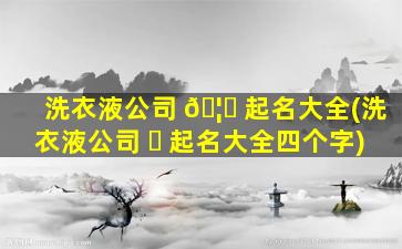 洗衣液公司 🦍 起名大全(洗衣液公司 ☘ 起名大全四个字)
